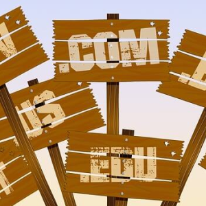 The Website Checklist: Step 2 - Get a Domain Name